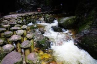 足协先找过渡主帅？旅美专家建议三大土帅，冠军教头+贾秀全