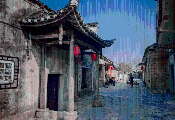 逃离金刚鹦鹉森林
